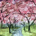 Cherry Blossom Season