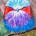 Lilac-Breasted Roller Bird 